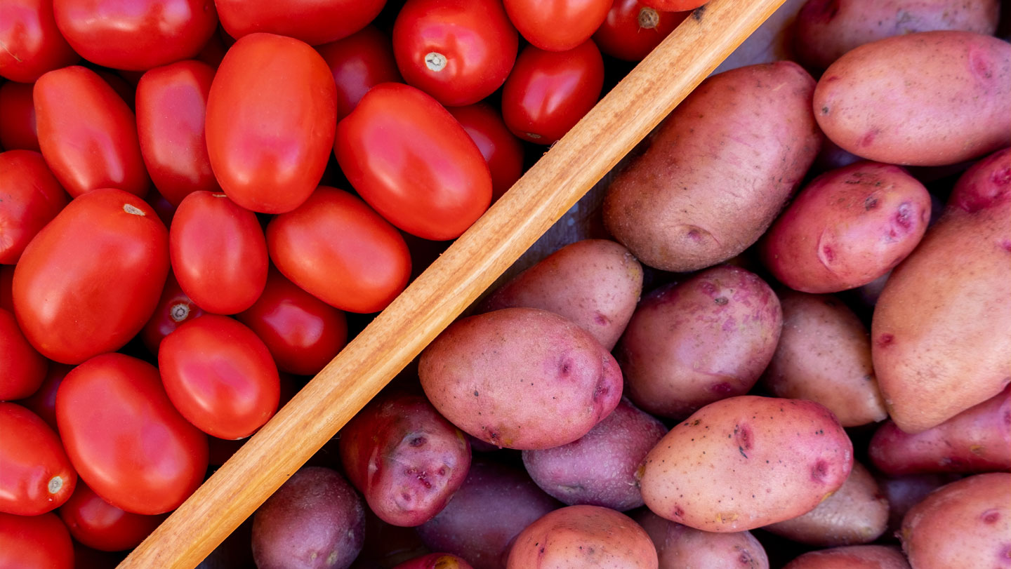 073025_JB_tomatopotato.jpg