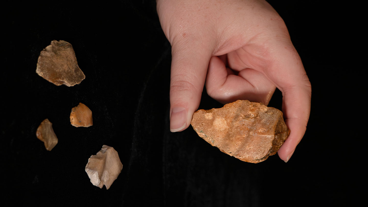 080525_BB_hominds_rev.jpg