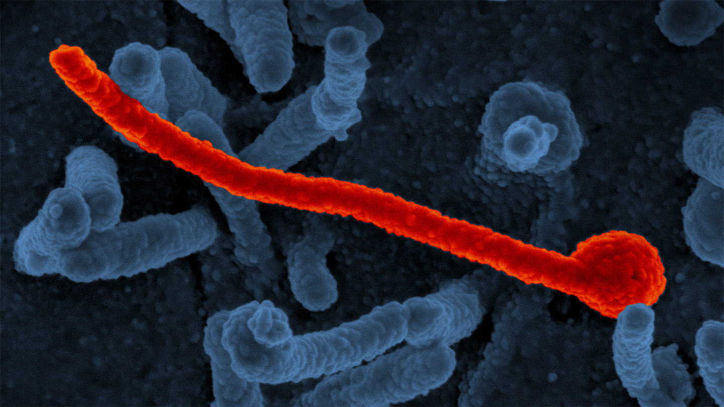 082625_pd_broad-sprectrum-antiviral_feat.jpg