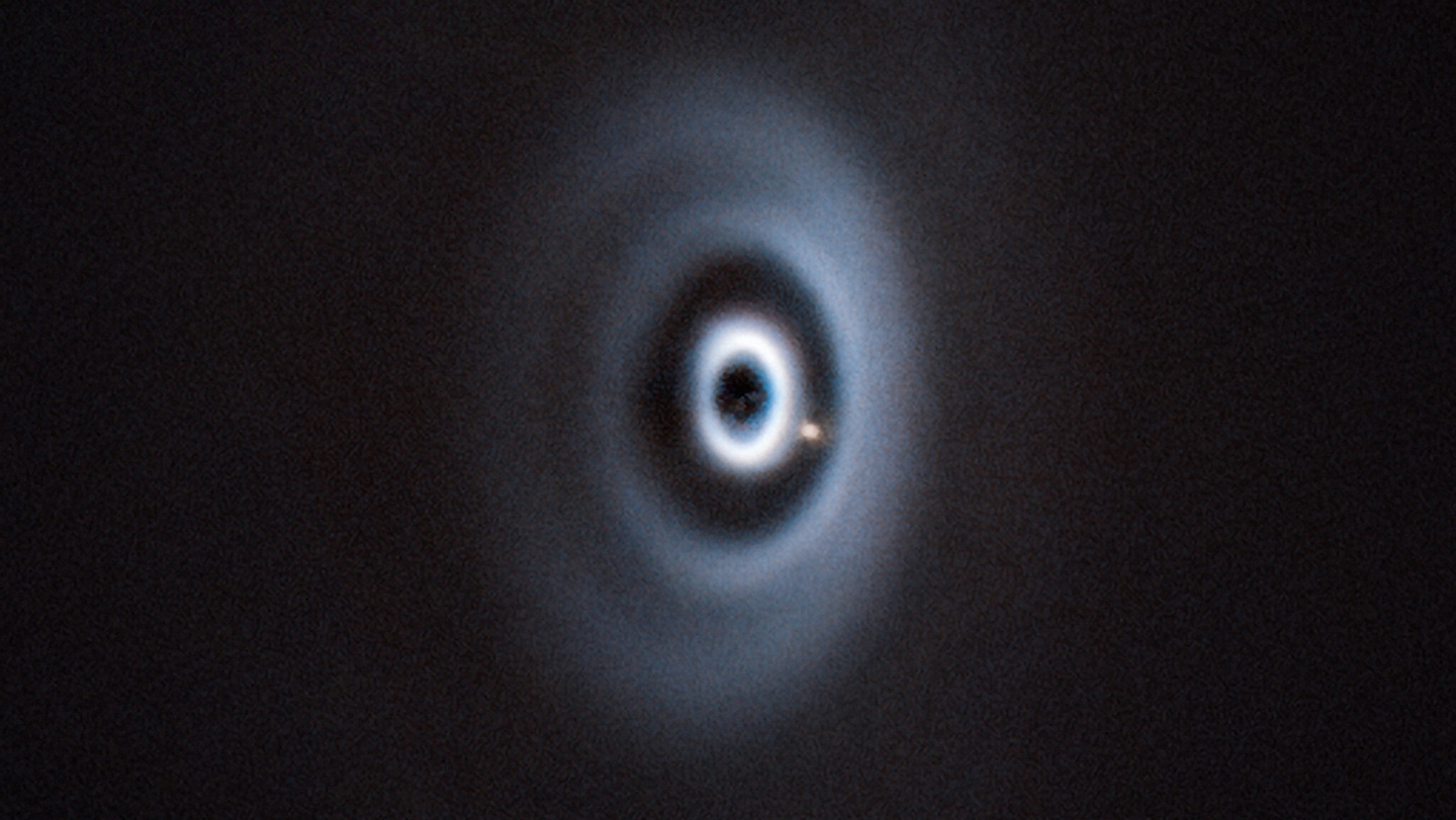 082825_MP_newbornplanet.jpg