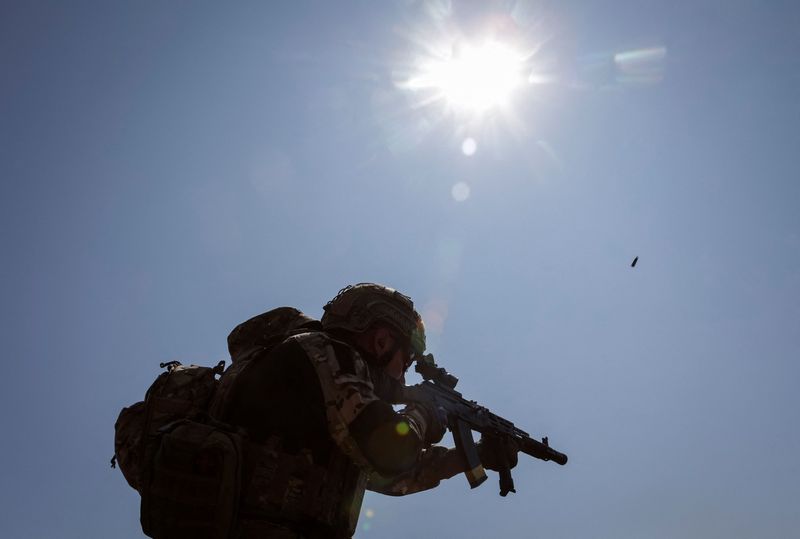 LYNXMPEL7902D_L.jpg