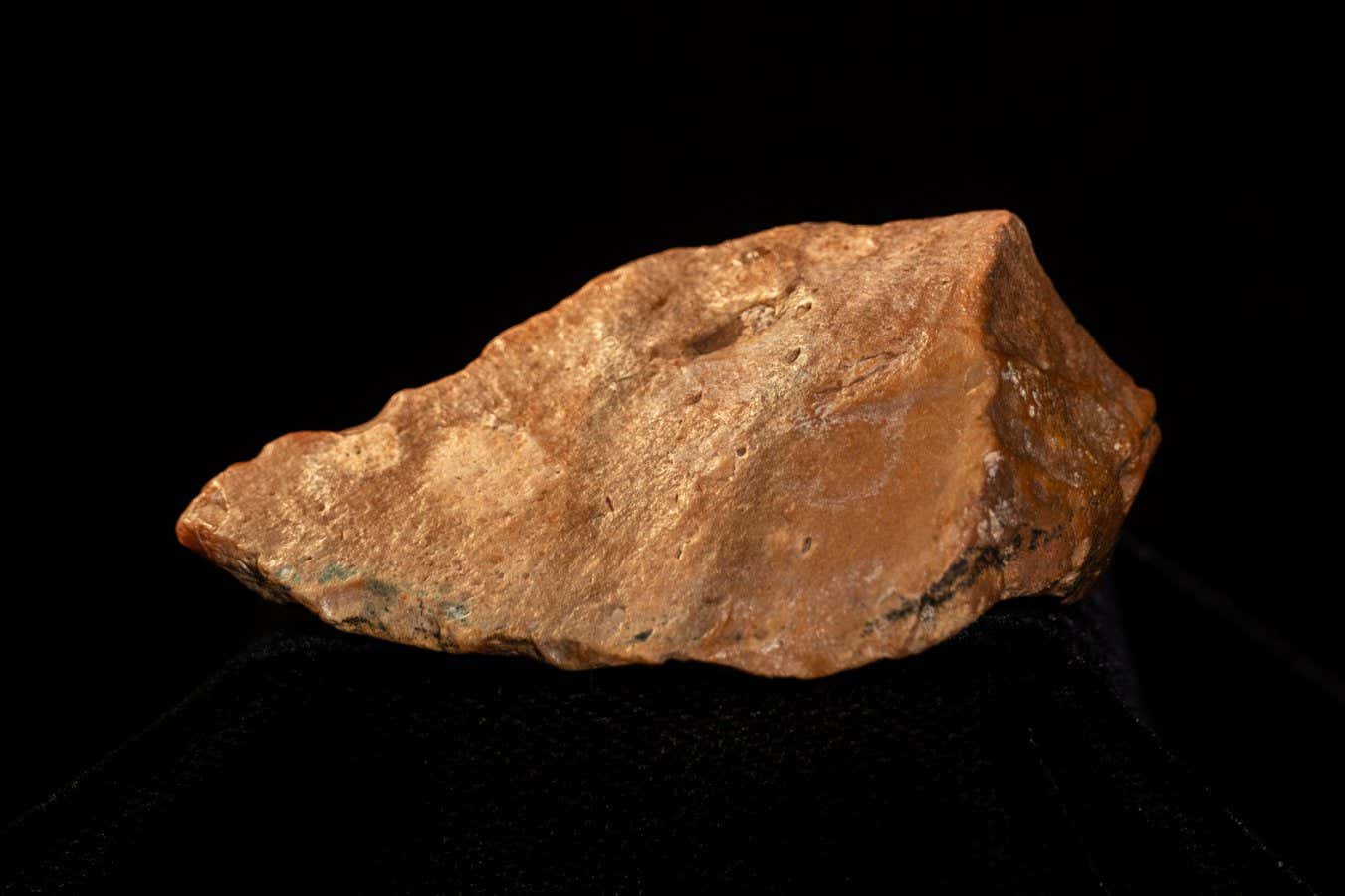 SEI_261236970.jpg