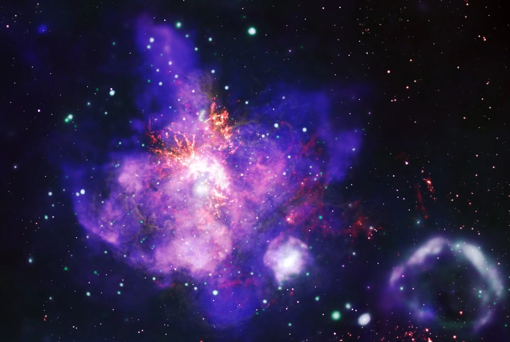cosmic-bouqet.webp.jpeg