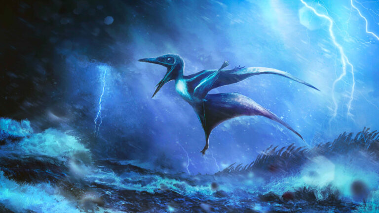 090425_CG_pterosaur_feat.jpg