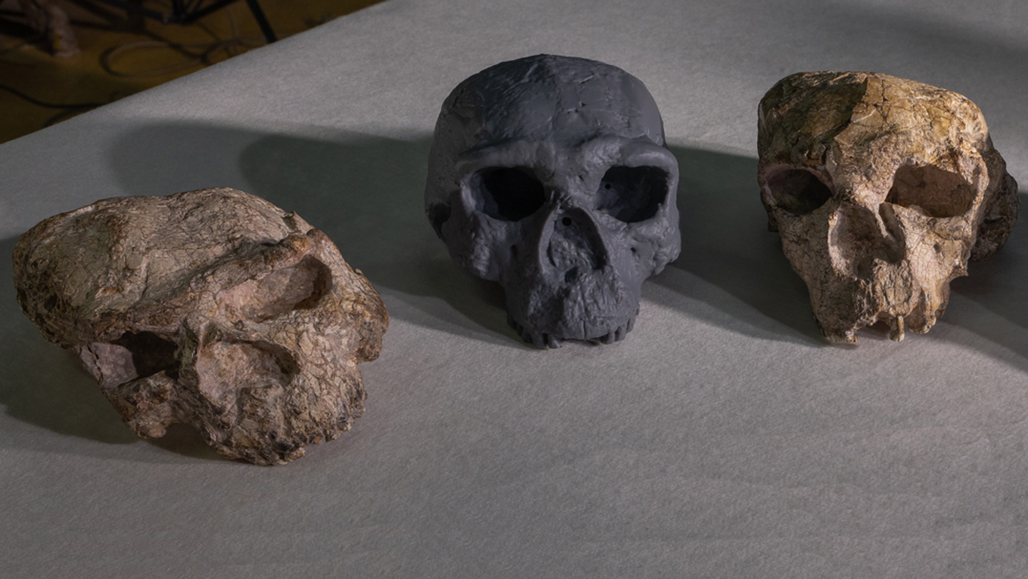 092525_BB_Chineseskull_feat.jpg