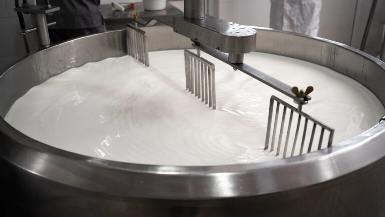 092625_JK_milkpasteurization.jpg