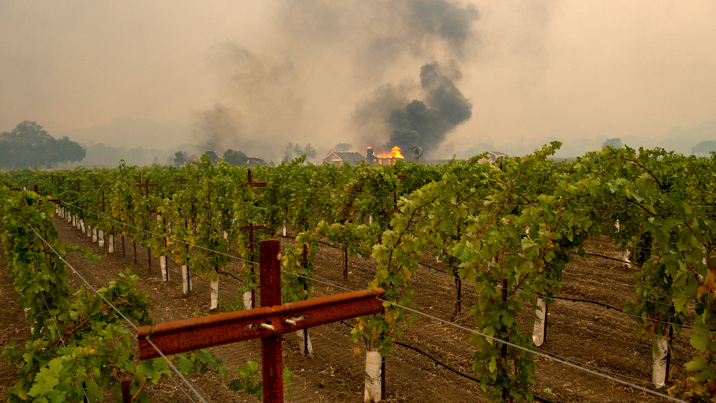 100125_CK_smokywine.jpg