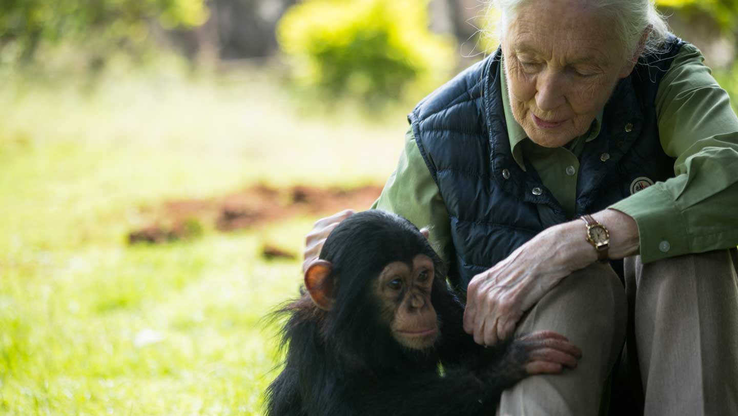100325_BB_JaneGoodall_feat.jpg