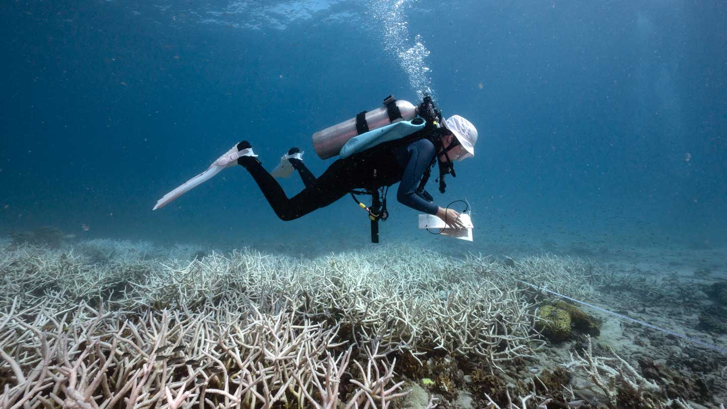 101025_CG_coralreef_feat.jpg