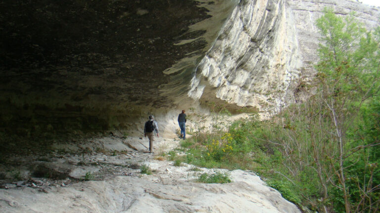 102425_BB_neandertal_feat.jpg